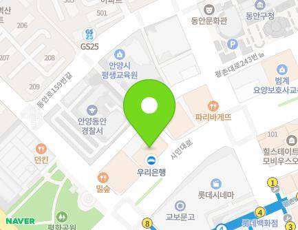 경기도 안양시 동안구 시민대로 167 (비산동, 안양벤처텔) 지도