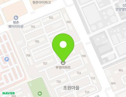 경기도 안양시 동안구 관평로138번길 63 (평촌동, 초원부영아파트) 지도