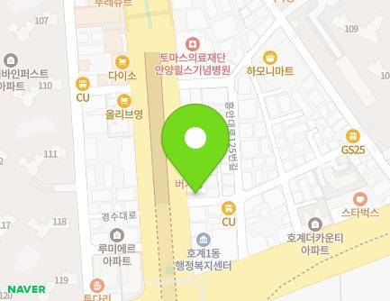 경기도 안양시 동안구 경수대로 546 (호계동) 지도