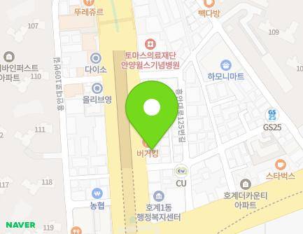 경기도 안양시 동안구 경수대로 546-1 (호계동) 지도