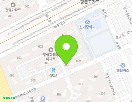 경기도 안양시 동안구 경수대로610번길 39 (호계동, 무궁화태영아파트 유치원) 지도