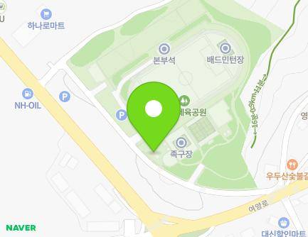 경기도 여주시 대신면 여양로 1500 (대신면체육공원) 지도