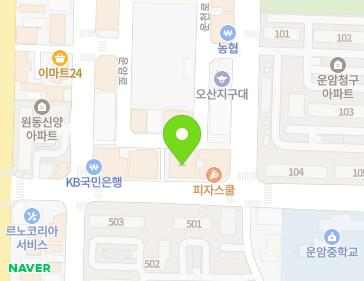 경기도 오산시 대원로 63 (원동, 중앙씨티월2) 지도