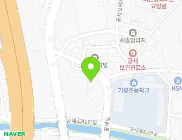 경기도 용인시 기흥구 공세로 91 (공세동, 남일빌딩) 경기도 용인시 기흥구 공세로 91 (공세동, 남일빌딩) 지도