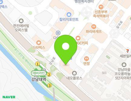 경기도 용인시 기흥구 중부대로 579 (구갈동, 강남대프라자) 지도