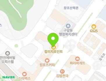경기도 용인시 기흥구 강남로 13 (구갈동, 칼리지포인트) 지도