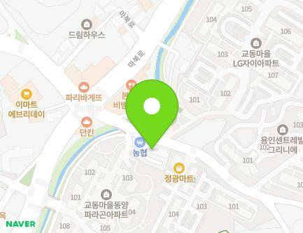경기도 용인시 기흥구 마북로154번길 12 (마북동, 마북프라자) 지도