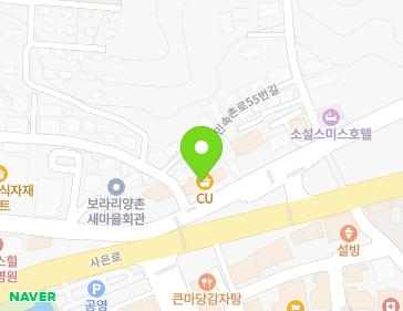 경기도 용인시 기흥구 민속촌로 43 (보라동, 현대빌딩) 지도