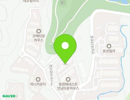 경기도 용인시 기흥구 언남로29번길 41-1 (언남동, 동원언남타운하우스) 지도