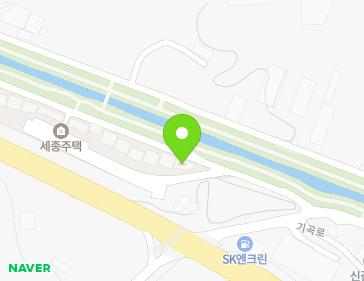 경기도 용인시 기흥구 하갈로 39 (하갈동, 세종주택) 지도