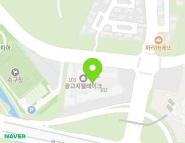 경기도 용인시 수지구 광교마을로 134 (상현동, 광교지웰레이크) 지도