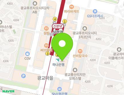 경기도 용인시 수지구 광교중앙로 302 (상현동) 지도