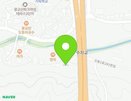 경기도 용인시 수지구 신봉1로 291-6 (신봉동) 지도