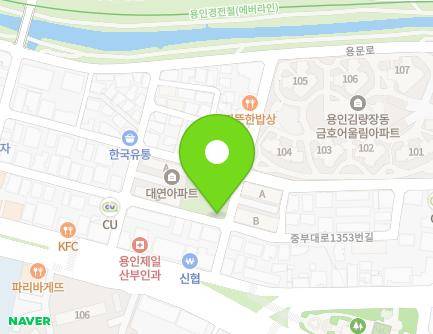 경기도 용인시 처인구 중부대로1343번길 6-9 (김량장동) 지도