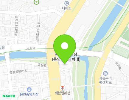 경기도 용인시 처인구 백옥대로 1142 (김량장동) 지도