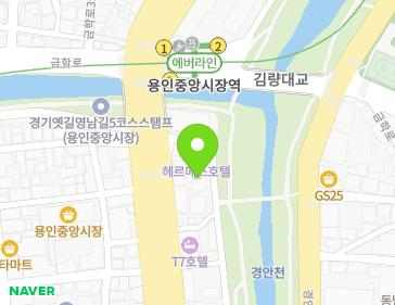 경기도 용인시 처인구 금령로117번길 17 (김량장동) 지도