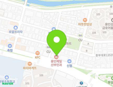 경기도 용인시 처인구 중부대로 1347 (김량장동) 지도