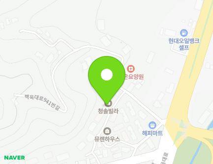 경기도 용인시 처인구 백옥대로941번길 11-6 (남동, 청솔빌라) 지도