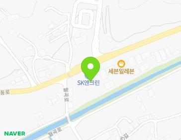 경기도 용인시 처인구 남사읍 경기동로 490 (오일뱅크대성주유소) 지도