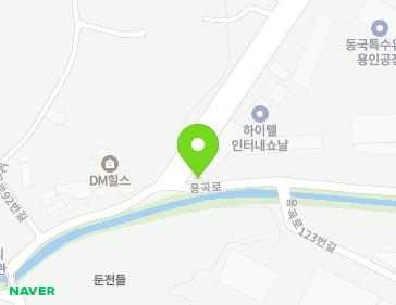 경기도 용인시 처인구 양지면 용곡로 132 (삼거리상회) 지도