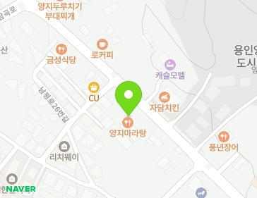 경기도 용인시 처인구 양지면 남평로 32 (보현판넬) 지도