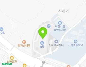 경기도 이천시 부발읍 경충대로2250번길 7 (부발농협신하지점) 지도