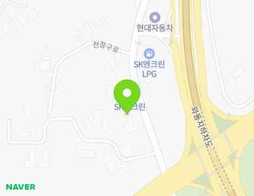 경기도 파주시 천정구로 77 (당하동) 지도