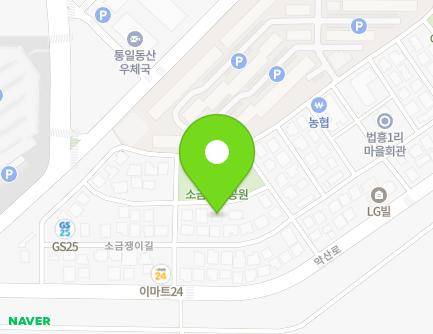 경기도 파주시 탄현면 소금쟁이길 25-10 (선양교회) 지도