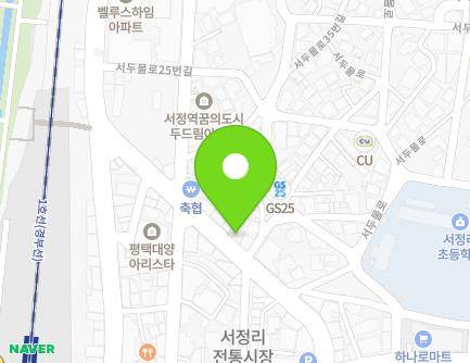 경기도 평택시 서정역로 52 (서정동, 약품병원) 지도