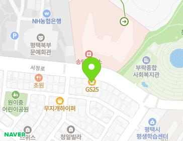경기도 평택시 서정로 296 (서정동) 지도