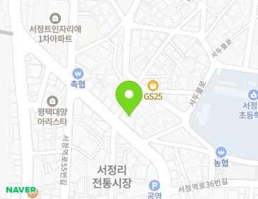 경기도 평택시 서정역로 48 (서정동) 지도