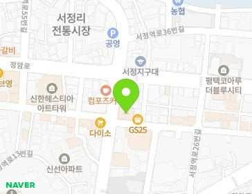 경기도 평택시 서정역로26번길 3 (서정동) 지도