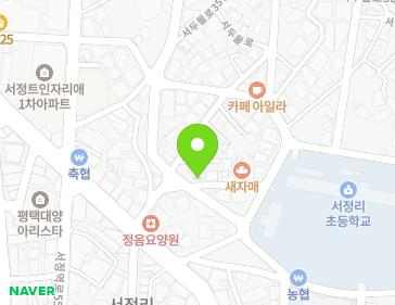 경기도 평택시 서두물로35번길 53 (서정동) 지도