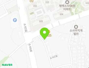 경기도 평택시 소사2길 29 (소사동, 치유하는감리교회) 지도