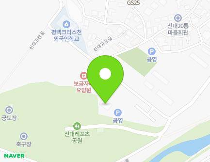 경기도 평택시 신대고잔길 55-26 (신대동) 지도