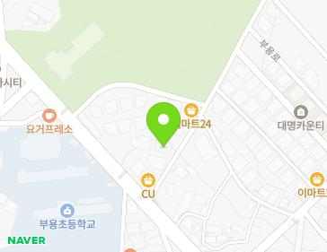 경기도 평택시 팽성읍 부용로55번길 12-15 (늘푸른행복) 지도