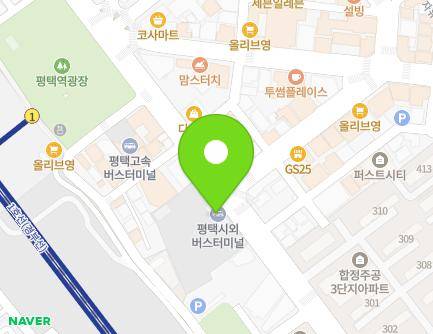 경기도 평택시 평택로 31 (평택동) 지도