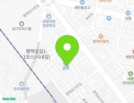 경기도 평택시 평택로75번길 12 (평택동, 평택동공영주차장) 지도