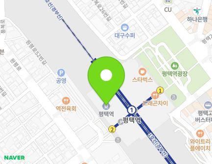 경기도 평택시 평택로 51 (평택동, 평택민자역사) 지도