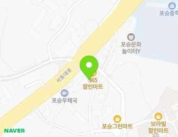 경기도 평택시 포승읍 서동대로 1124 지도