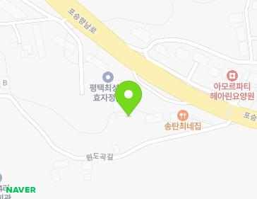 경기도 평택시 포승읍 원도곡길 27-21 지도