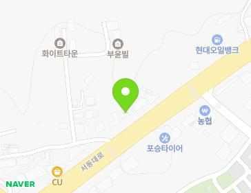 경기도 평택시 포승읍 서동대로 1163 지도