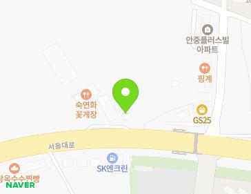 경기도 평택시 포승읍 서동대로 1287 지도