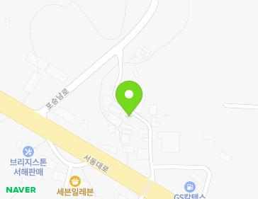 경기도 평택시 포승읍 포승남로 14-10 지도