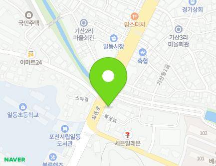 경기도 포천시 일동면 화동로 1028 (명신빌딩) 지도