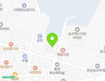 경기도 화성시 송산면 송산포도로 102-5 (송산아파트) 지도