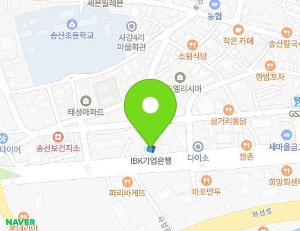 경기도 화성시 송산면 사강로 161 지도
