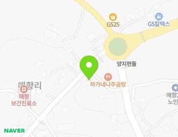 경기도 화성시 우정읍 기아자동차로 232 지도