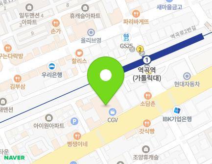 경기도 부천시 소사구 경인로 505 (괴안동, 역곡하이뷰) 지도