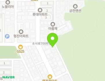 경기도 부천시 오정구 소사로700번길 80 (원종동, 현대주택) 지도